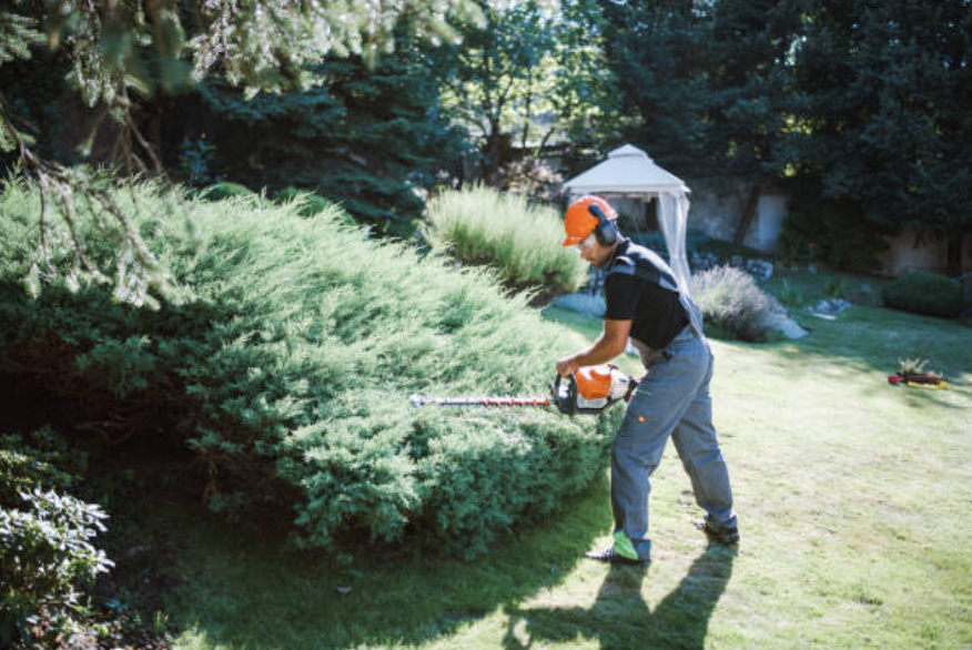 Jardinería